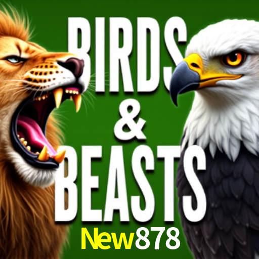 New878,New878.Com